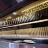 dan-Piano-bernstein-cua-lcpiano-1
