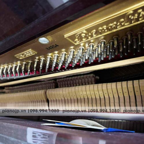 dan-Piano-bernstein-cua-lcpiano-1