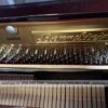 dan-Piano-bernstein-cua-lcpiano-2