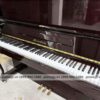 dan-Piano-bernstein-cua-lcpiano-3