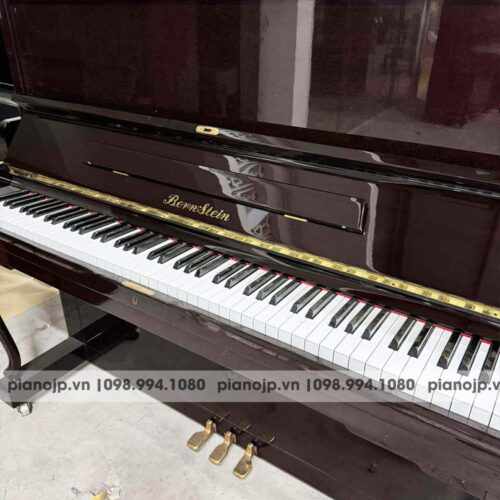 dan-Piano-bernstein-cua-lcpiano-3