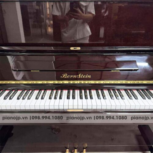 dan-Piano-bernstein-cua-lcpiano-4